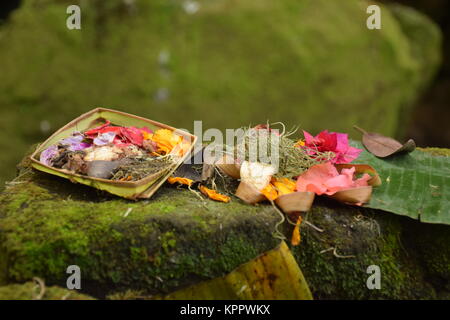 Tipico offerte balinese anche chiamati Canang Sari all'interno di Goa Gajah tempio indù di Bali - Indonesia Foto Stock