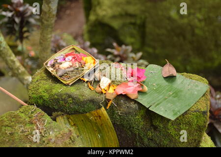 Tipico offerte balinese anche chiamati Canang Sari all'interno di Goa Gajah tempio indù di Bali - Indonesia Foto Stock