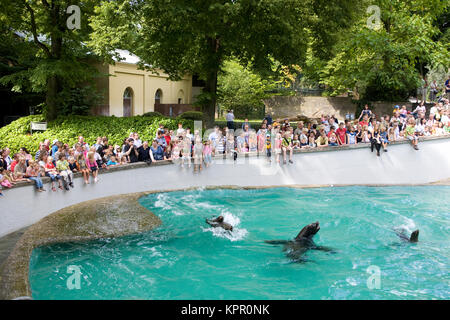L'Europa, Germania, Wuppertal, lo Zoo, visitatori presso la piscina dei leoni di mare. Europa, Deutschland, Wuppertal, Zoo di Wuppertal, Besucher am Becken der vedere Foto Stock