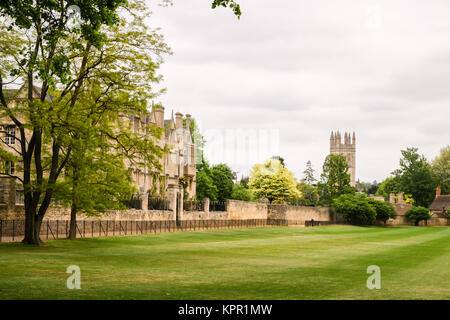 Guardando attraverso Merton Campo verso Merton College e la torre presso il Magdalen College da Merton a piedi di Oxford, Oxfordhire, Inghilterra Foto Stock