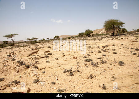 Il paesaggio intorno a Lasa Geel grotte nel Somaliland Foto Stock