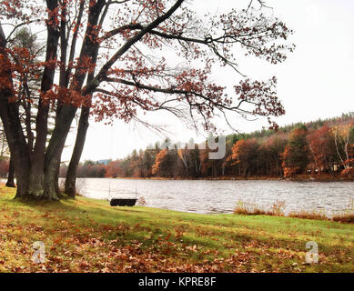 Albero oscillante tramite un fiume nel Adirondacks nel tardo pomeriggio Foto Stock