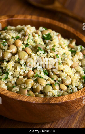 La quinoa con insalata di lenticchia e prezzemolo Foto Stock