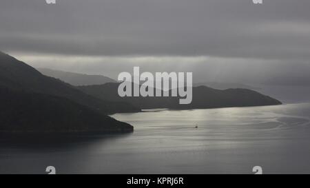 Di scena sul Queen Charlotte Track, Nuova Zelanda. Giorno nebbiosi. Foto Stock