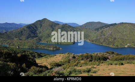 Vista dalla Queen Charlotte Track, Nuova Zelanda Foto Stock