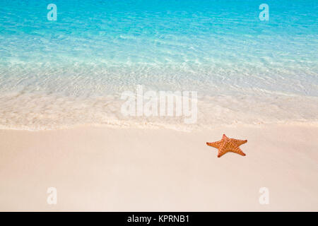 Spiaggia tropicale con stella marina Foto Stock