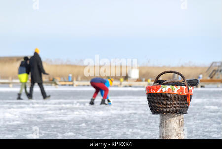 Passeggiata sul ghiaccio del Lago Neusiedler Foto Stock