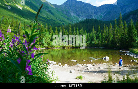 Bambini vicino al lago alpino Foto Stock