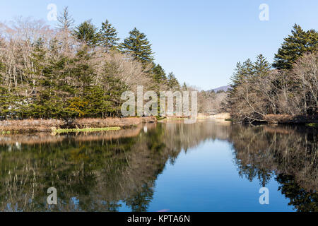 Stagno di acqua Foto Stock