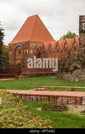 Le mura della città e le rovine del castello medievale nella città polacca di Torun Polonia ex roccaforte dei cavalieri teutonici Foto Stock