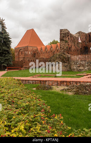 Le mura della città e le rovine del castello medievale nella città polacca di Torun Polonia ex roccaforte dei cavalieri teutonici Foto Stock