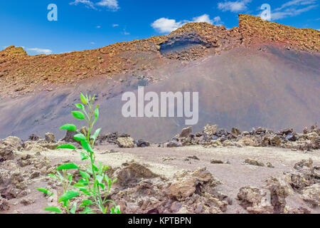 Deserto di pietra vulcanica nelle Isole Canarie di Lanzarote Foto Stock