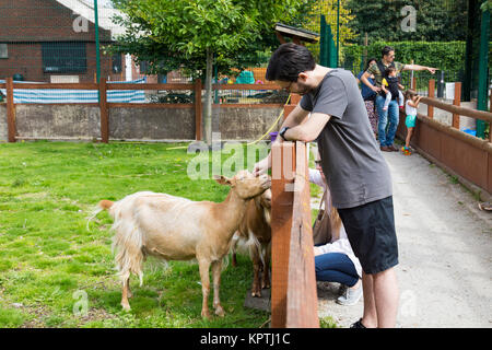 Giovane uomo accarezzare una capra all'interno di un involucro a Spitalfields City Farm, London, Regno Unito Foto Stock