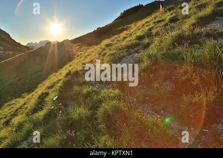 Alpine Falre al tramonto Foto Stock