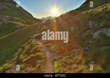 Alpine Falre al tramonto Foto Stock