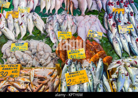 vari tipi di pesce in un mercato a istanbul, turchia Foto Stock