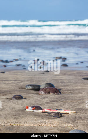 spazzolino lasciato dai rifugiati sulla spiaggia - testimoni del volo Foto Stock