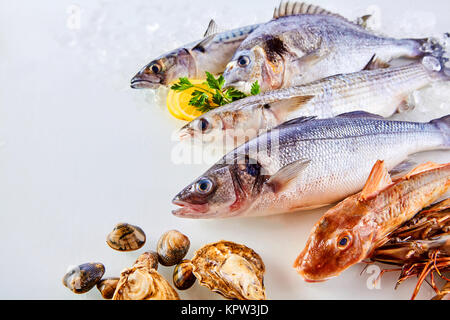 Angolo alto ancora vita vista di fresco pesce crudo, crostacei e frutti di mare disposti in display attraente su sfondo bianco con il limone Foto Stock