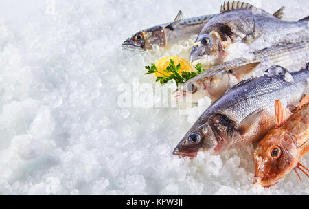 Angolo alto ancora in vita di varietà di materie Pesce Fresco raffreddamento sul letto di ghiaccio freddo nel mercato di pesce stallo con spazio di copia Foto Stock