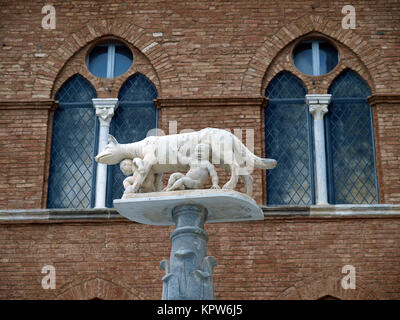 Siena - colonna con la lupa davanti alla facciata del Duomo Foto Stock