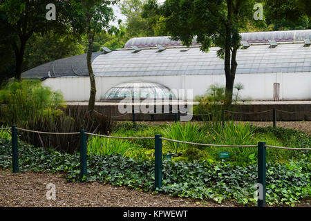 L'Osservatorio e di piante di acquitrini in il Jardín Botánico del Bosque de Chapultepec (Chapultepec Botanic Gardens) nel Chapultepec Park, Città del Messico, M Foto Stock