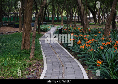 Il El Jardin (sensoriale Giardino Sensoriale) in il Jardín Botánico del Bosque de Chapultepec (Chapultepec Botanic Gardens) nel Chapultepec Park, Messico C Foto Stock