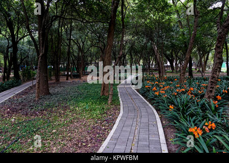 Il El Jardin (sensoriale Giardino Sensoriale) in il Jardín Botánico del Bosque de Chapultepec (Chapultepec Botanic Gardens) nel Chapultepec Park, Messico C Foto Stock