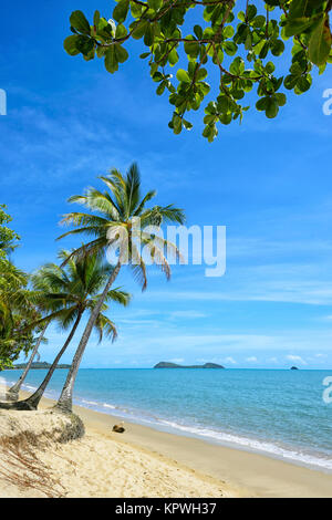 Orlata di Palme spiaggia sabbiosa di Clifton Beach, spiagge settentrionali sobborgo Cairns, estremo Nord Queensland, FNQ, QLD, Australia Foto Stock