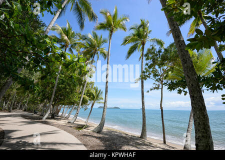 Orlata di Palme spiaggia sabbiosa di Clifton Beach, spiagge settentrionali sobborgo Cairns, estremo Nord Queensland, FNQ, QLD, Australia Foto Stock