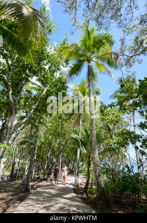 Avvolgimento percorso pedonale attraverso palme presso la Clifton Beach, un popolare spiagge settentrionali sobborgo di Cairns, estremo Nord Queensland, FNQ, QLD, Australia Foto Stock