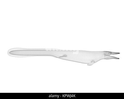 3d coccodrillo wireframe Foto Stock