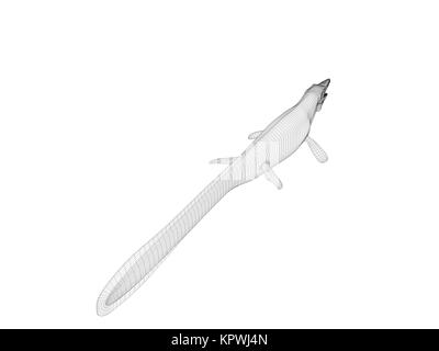 3d coccodrillo wireframe Foto Stock