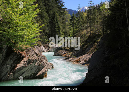 Der Rissbach ist ein ca. 30 km langer Wildfluss in Tirol und Oberbayern, der das Rißtal durchfließt. Foto Stock