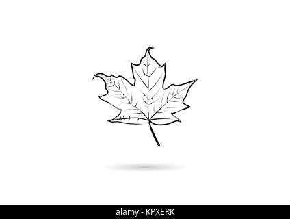 Vettore di creative abstract per maple leaf Foto Stock