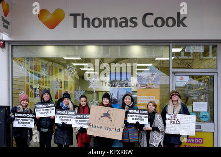 I sostenitori di PETA dimostrare in segno di protesta oggi presso il supporto Thomas Cook Travel società dà al Seaworld dove le balene e i delfini sono tenuti in cattività, visto al di fuori di una succursale a Southsea England Regno Unito. Credito: Martyn Evans/Alamy Live News Foto Stock