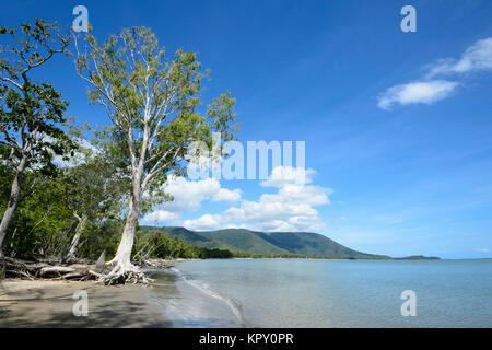 Vista della Scenic Kewarra Beach, un popolare spiagge settentrionali sobborgo di Cairns, estremo Nord Queensland, FNQ, QLD, Australia Foto Stock