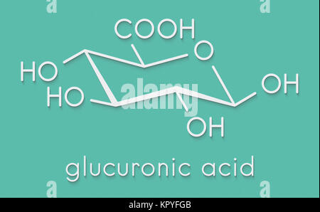 Acido glucuronico molecola. La glucuronizzazione di xenobiotici svolge ruolo nel metabolismo del farmaco, dando glicuronidi. Formula di scheletro. Foto Stock