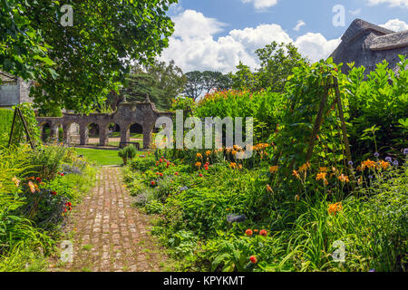 Il colorato giardino cucina a casa Athelhampton, Puddletown, Dorset, England, Regno Unito Foto Stock