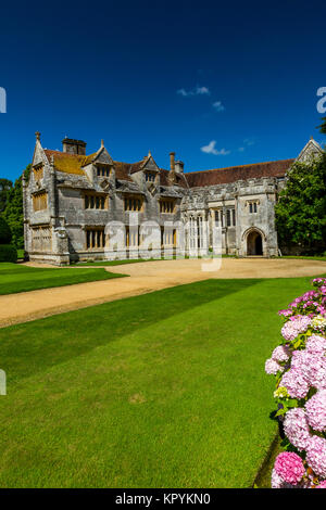 Fioritura di ortensie davanti casa Athelhampton, Puddletown, Dorset, England, Regno Unito Foto Stock