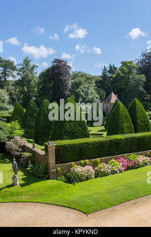 Il gigante yew piramidi nel grande corte a casa Athelhampton, Puddletown, Dorset, England, Regno Unito Foto Stock