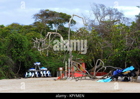 Kayak per turisti di impiego sono impilati nella parte anteriore degli alberi di mangrovie su una spiaggia di sabbia bianca. Playa Isabela, Puerto Villamil, Isabela, Galapagos, Ecuador Foto Stock