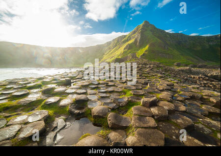 Il Selciato del gigante all alba di un giorno di sole con le famose colonne di basalto, il risultato di una antica eruzione vulcanica. Contea di Antrim sul COA del nord Foto Stock