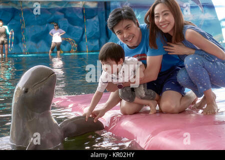 Delfino Irrawaddy, animali umani interazione. Foto Stock