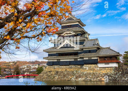 Il mastio del castello Matsumoto o Crow castello in autunno, uno dei più famosi castelli storici del Giappone, con un albero di acero in primo piano Foto Stock