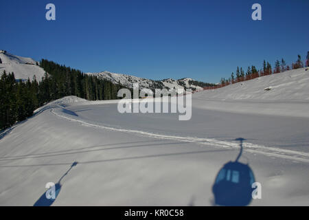 Paesaggio invernale dall' Austria Foto Stock