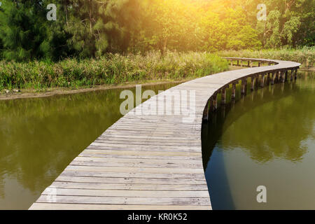 Percorso di legno con il lago Foto Stock