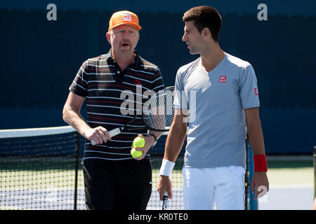 FLUSHING NY- 28 AGOSTO: Boris Becker, Novak Djokovic è avvistata giorno quattro del 2014 US Open al USTA Billie Jean King National Tennis Center il 28 agosto 2014 nel quartiere di lavaggio del Queens borough di New York City. Persone: Boris Becker, Novak Djokovic Foto Stock