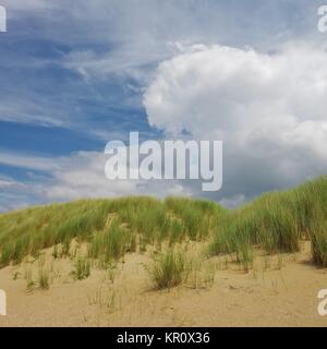 Dune sulla spiaggia di ouddorp,goeree-overflakkee,sud dei Paesi Bassi Foto Stock