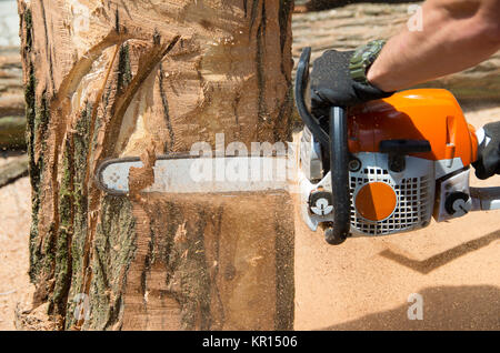 Master rende il visto la scultura in legno Foto Stock