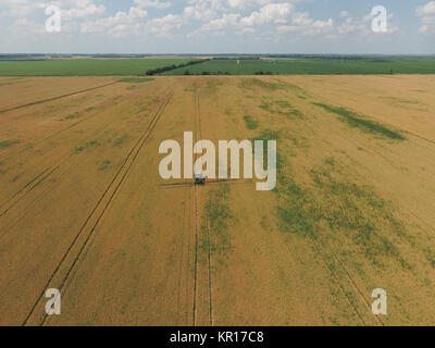 Aggiunta di un erbicida il trattore sul campo di grano maturo. Vista da sopra. Foto Stock